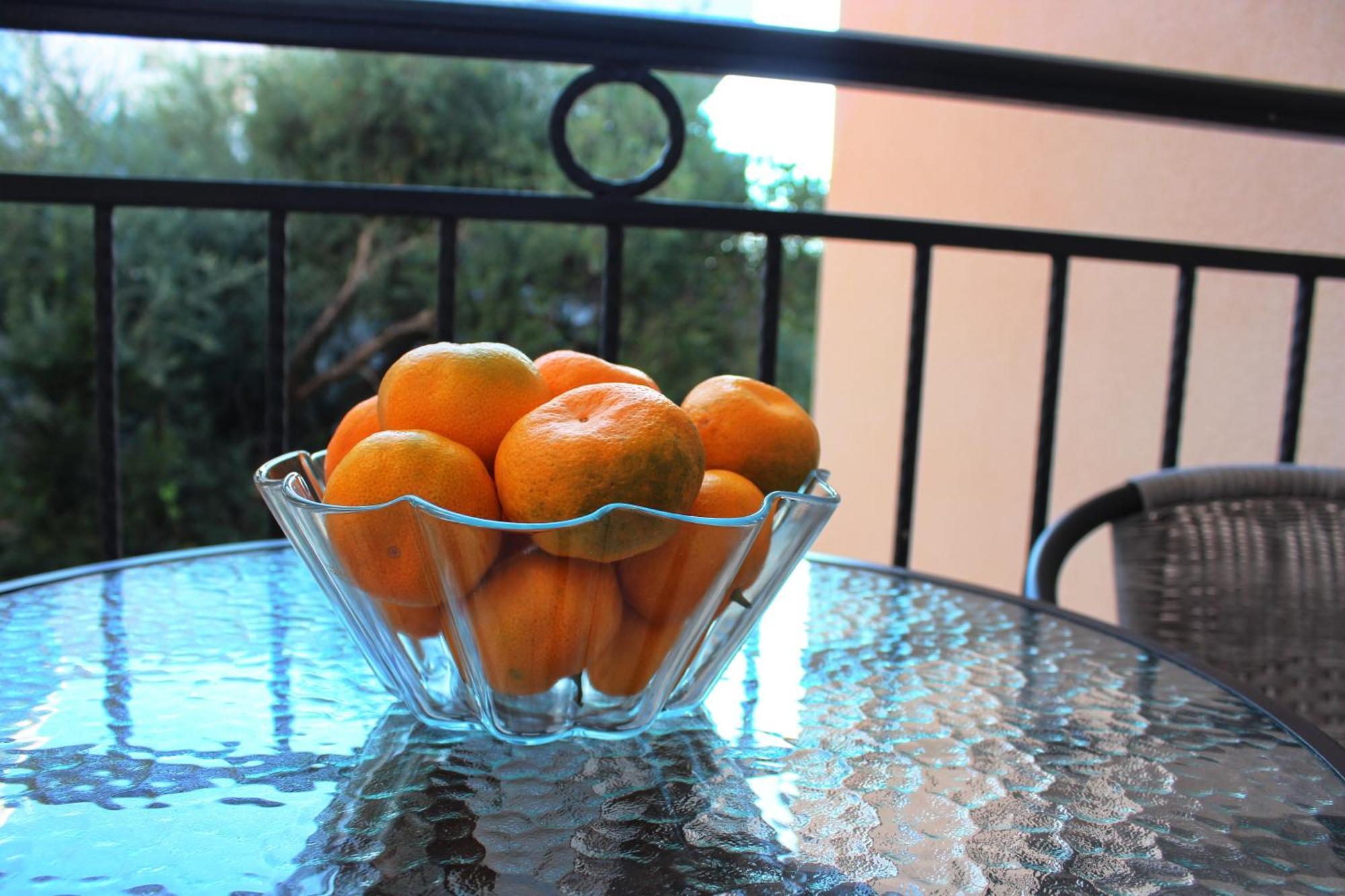 Apartments Balabusic بودفا الغرفة الصورة