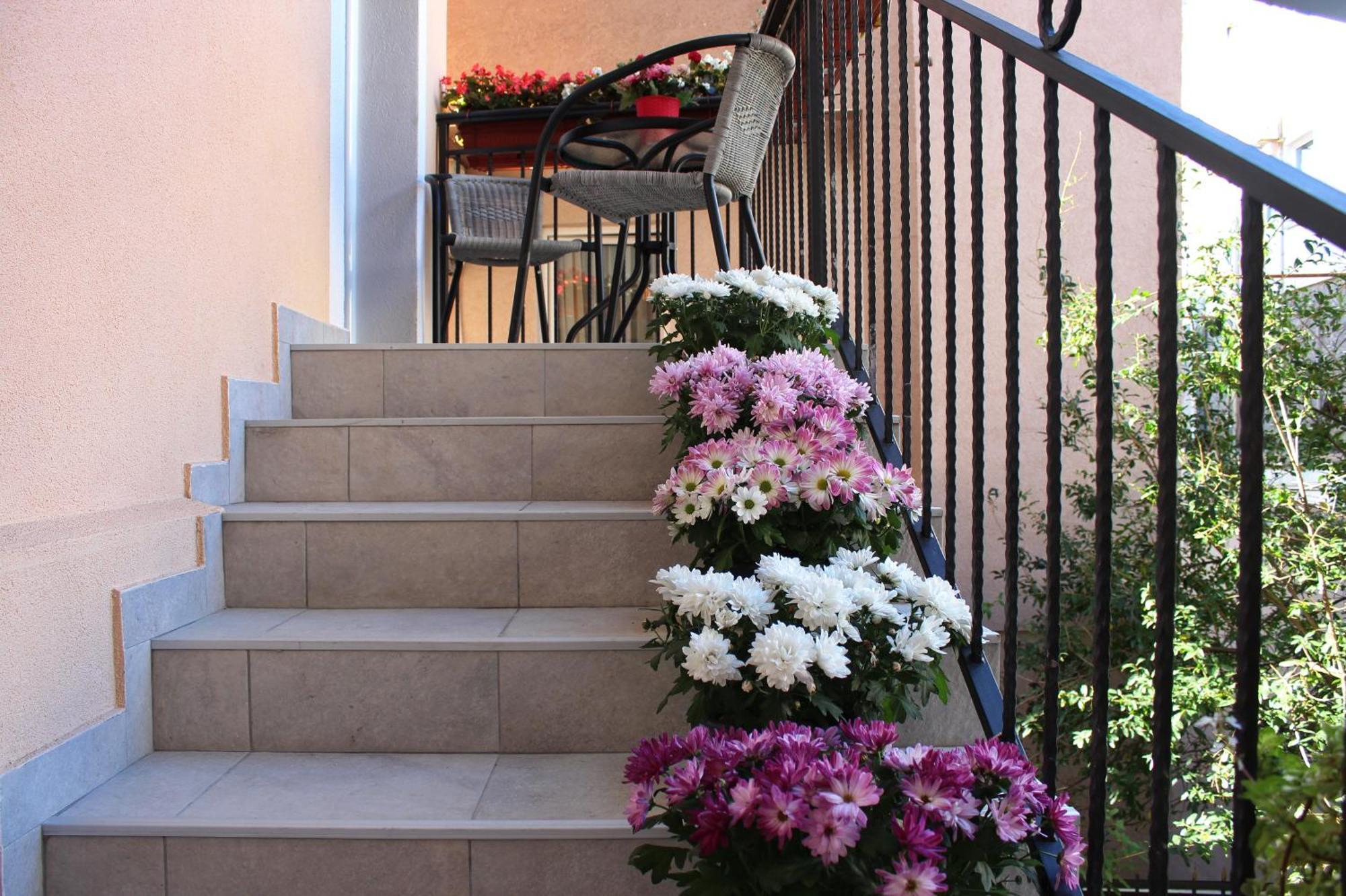 Apartments Balabusic بودفا الغرفة الصورة