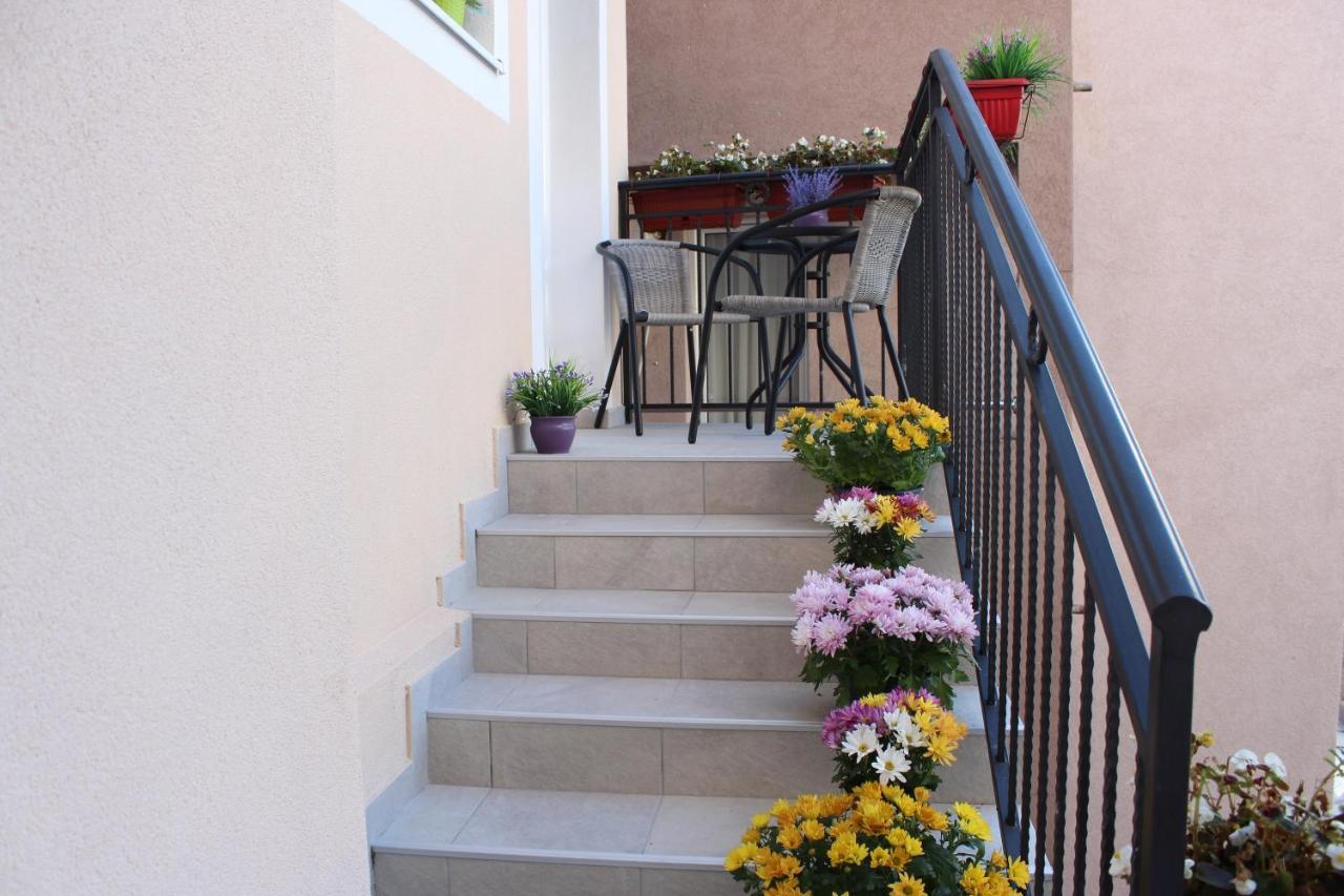 Apartments Balabusic بودفا المظهر الخارجي الصورة